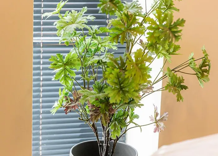 Almavirag Pihenohaz By Bltn アパート